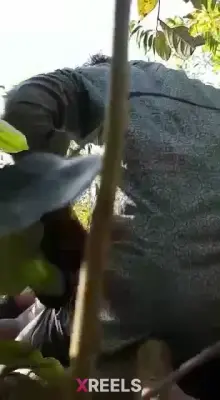 Desi Randi Group Sex With Local Guys Viral Outdoor