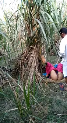 Indian Village Bhabhi Outdoor Fucking Scandal