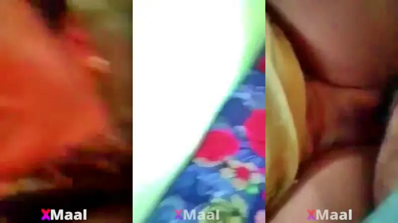 Desi Mallu Bhabhi Fuck Her Customer